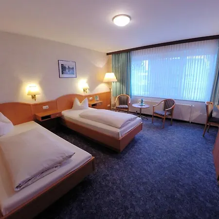 ホテル Frommanns 3*